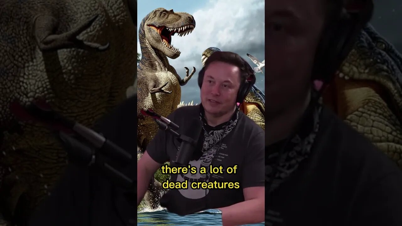 Why crocodiles survived the mass extinction of the dinosaurs? Answered by Elon Musk #shorts