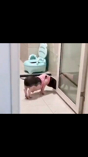 He goes to the bathroom