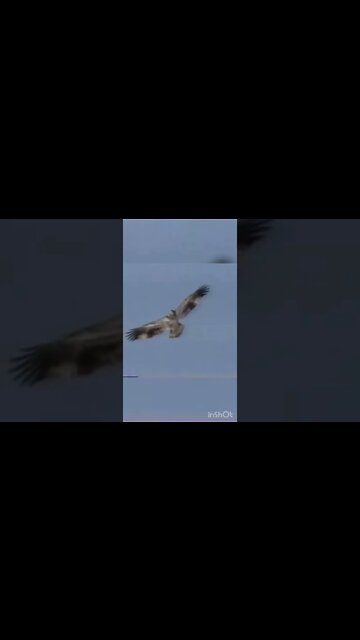 QUOTES, Founding Fathers Edition, ep38 George Washington, preparing to defend New York