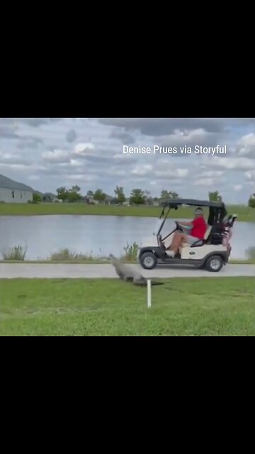 Alligator Attacks Golfer Causing Him To Almost Drive Into The Lake