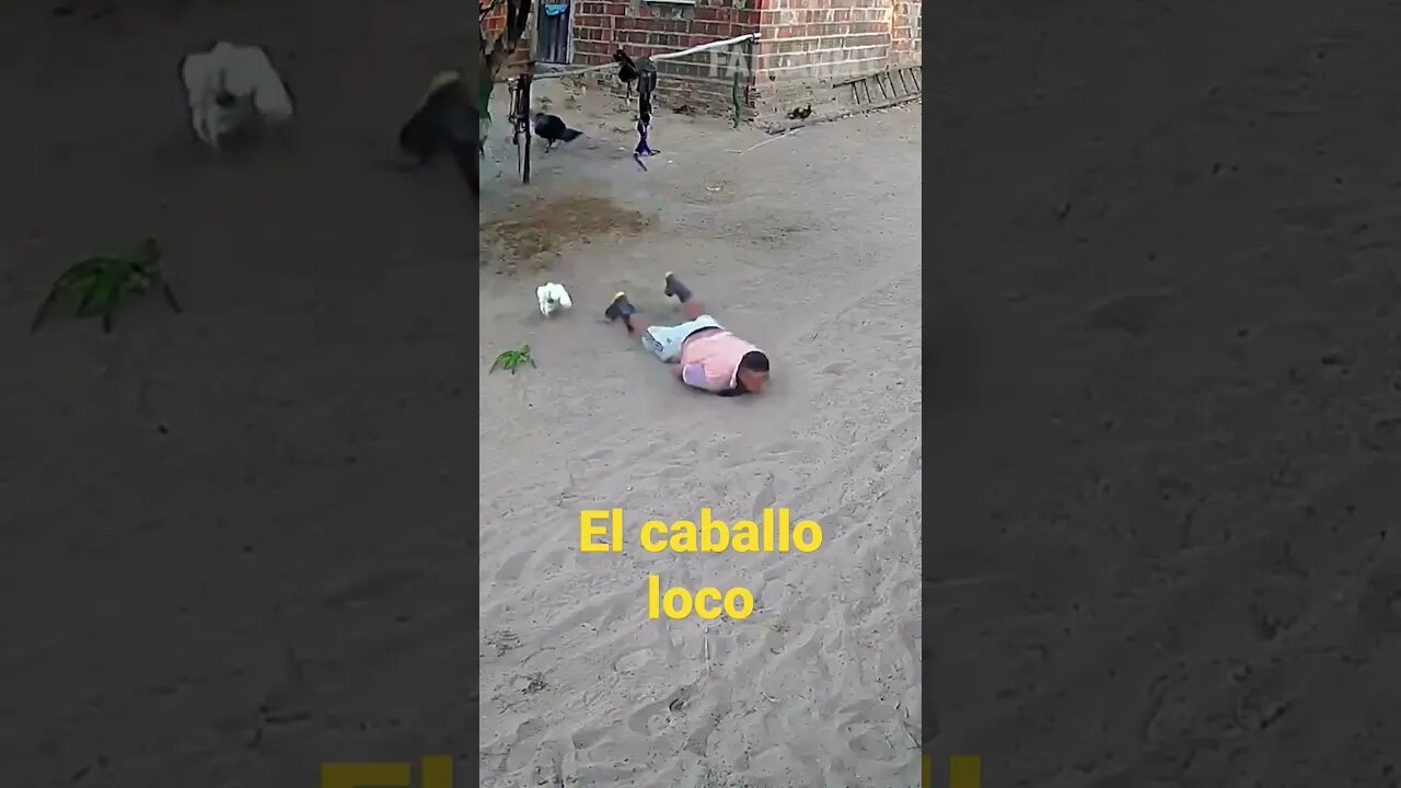 el caballo loco 😅#shorts #2022 #popular #short #funny #animals