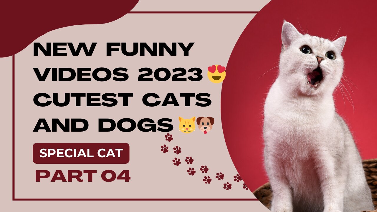 New Funny Videos 2023 😍 Cutest Cats and Dogs 🐱🐶 Part 04