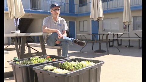 Veteran remembered for helping to beautify alley where he used to sleep