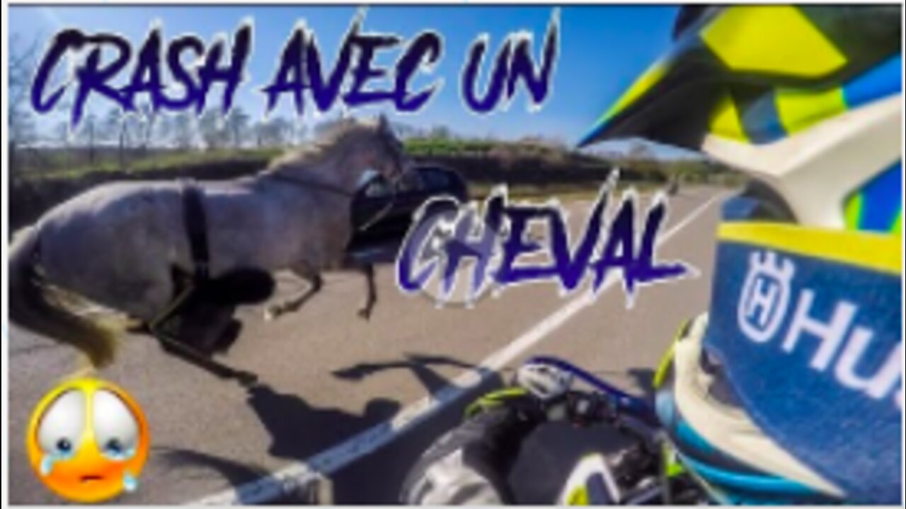 😱 Il sauve un cheval en crashant sa moto !