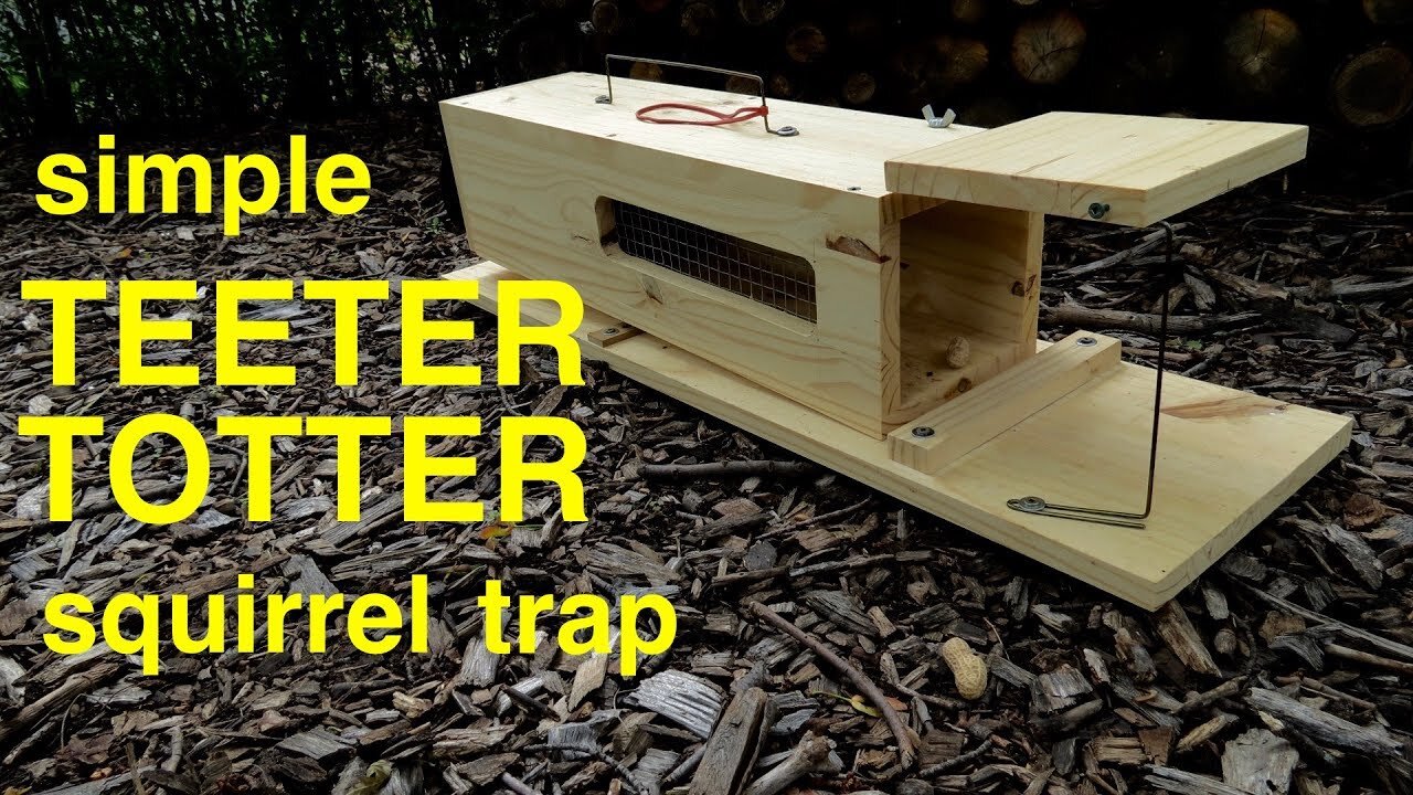 How to Make ● a Simple HUMANE TEETER-TOTTER Squirrel Trap