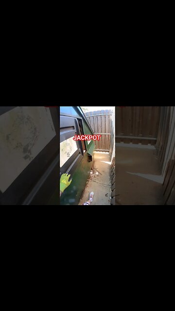 Real life dumpster diving jackpot omg !! 😲