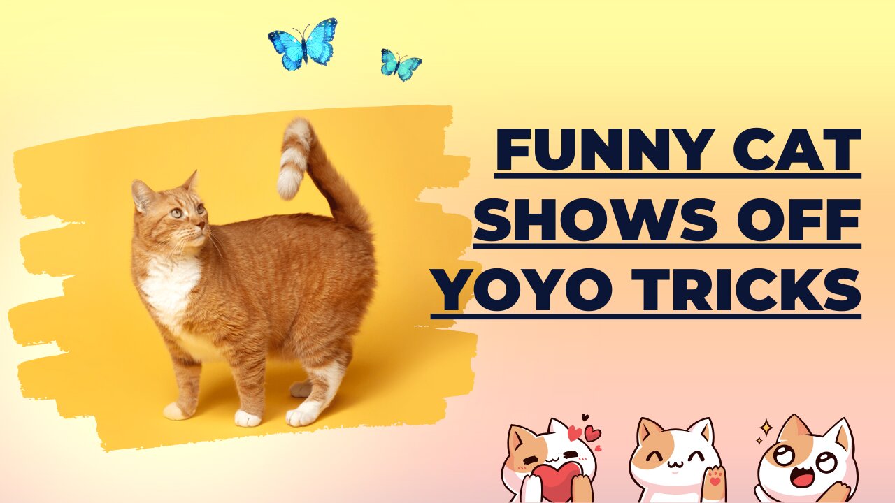 Funny Cat Shows Off Yoyo Tricks – Must Watch