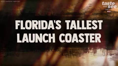 Florida's tallest launch coaster coming to Busch Gardens in Spring 2019 | Taste and See Tampa Bay