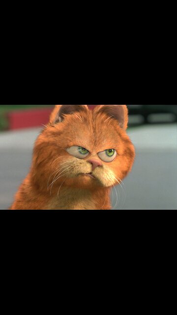 Badass Cat wants his own cat...