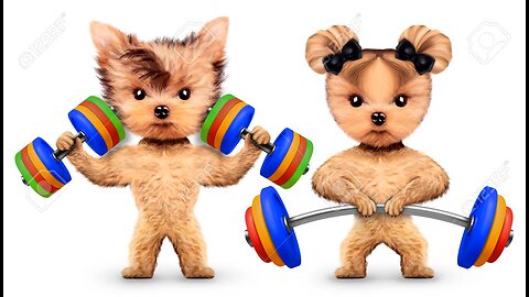 Dog Training Funniest and Cutest animal short