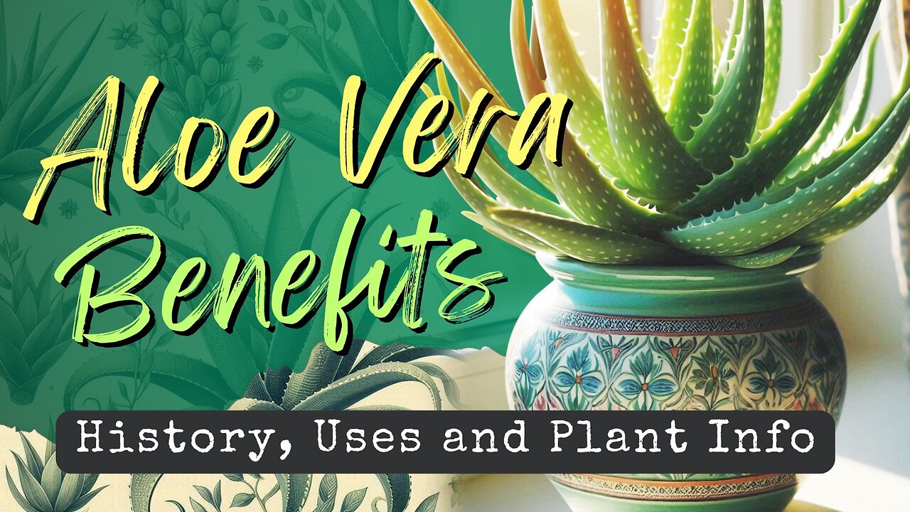 Hello Aloe! Aloe Vera Benefits, History, Uses and Plant Info 🌿