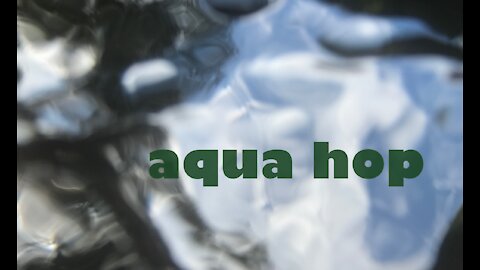 Aqua Hop vol.1 / Aquarium x Hip Hop