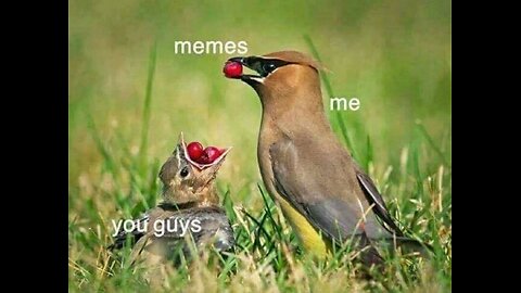 things to remember 💯👍