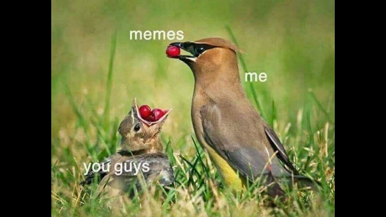 things to remember 💯👍