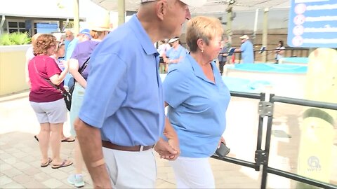 Couple's love story began at Loggerhead Marinelife Center