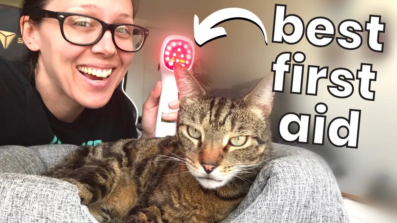 How I use red light therapy for me and my cat