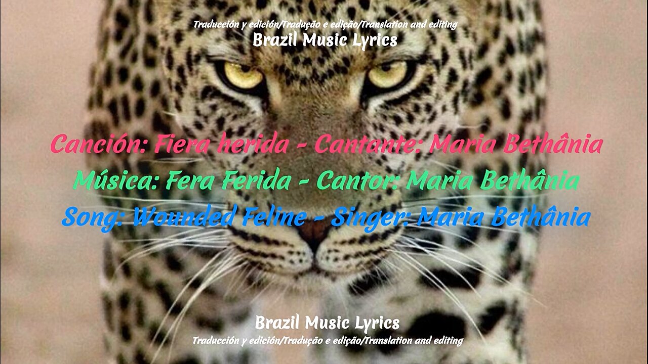 Brazil Music: Wounded Feline - Singer: Maria Bethânia