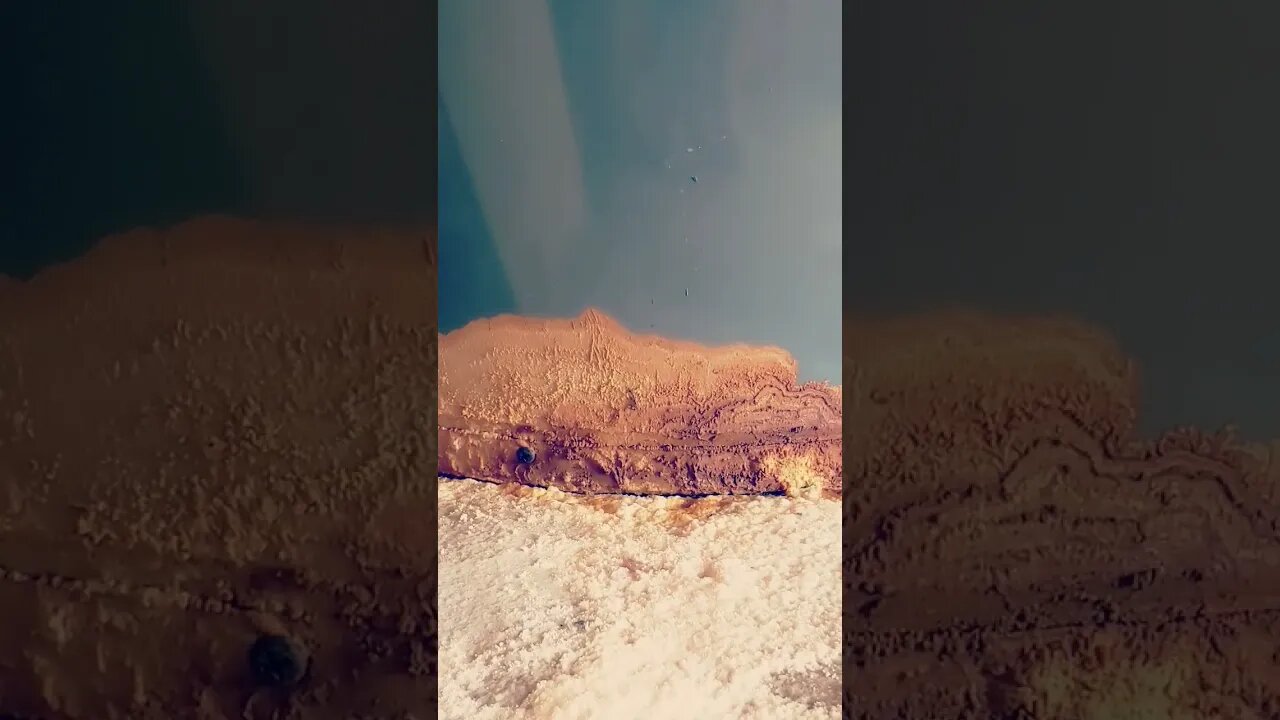 WOW! crazy chemical reaction going on here? 🤓 #homes #shorts #youtubeshorts