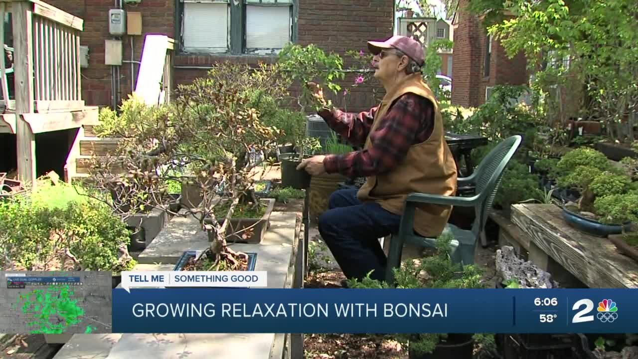Green Country Bonsai Club looking to teach, grow with new members