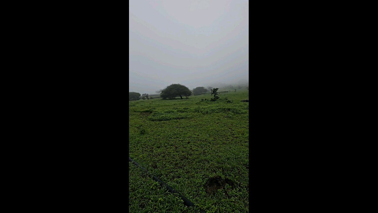 صلالة 2024