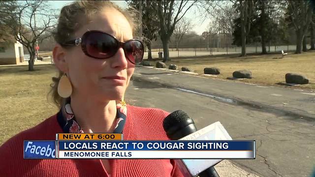 Menomonee Falls residents react to recent cougar sighting