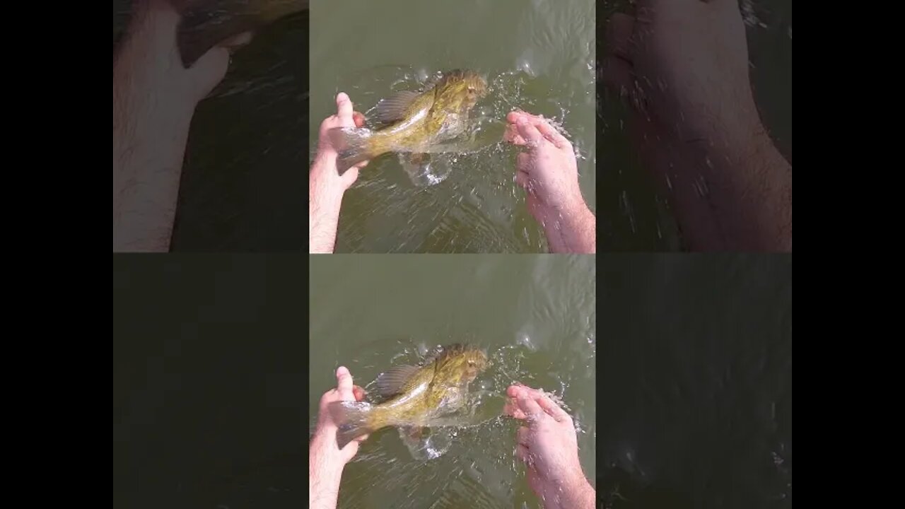 Smallmouth fishing in Ohio creeks