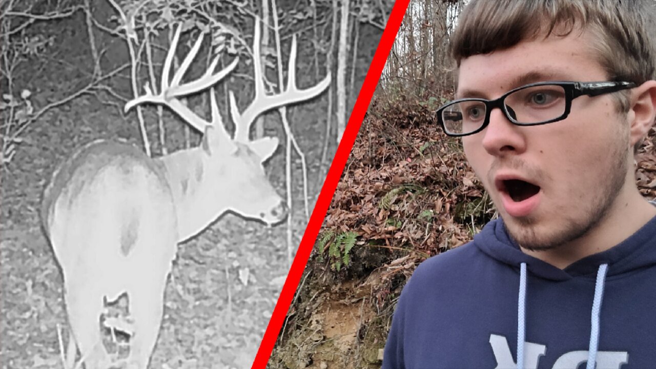 MONSTER BUCK ON TRAIL CAMERA!!! | Early Season Deer Hunting!!!