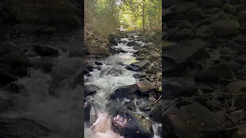 Beautiful🇨🇦wild Canadian Nature #canada #explorecanada #nature #naturelover #creek