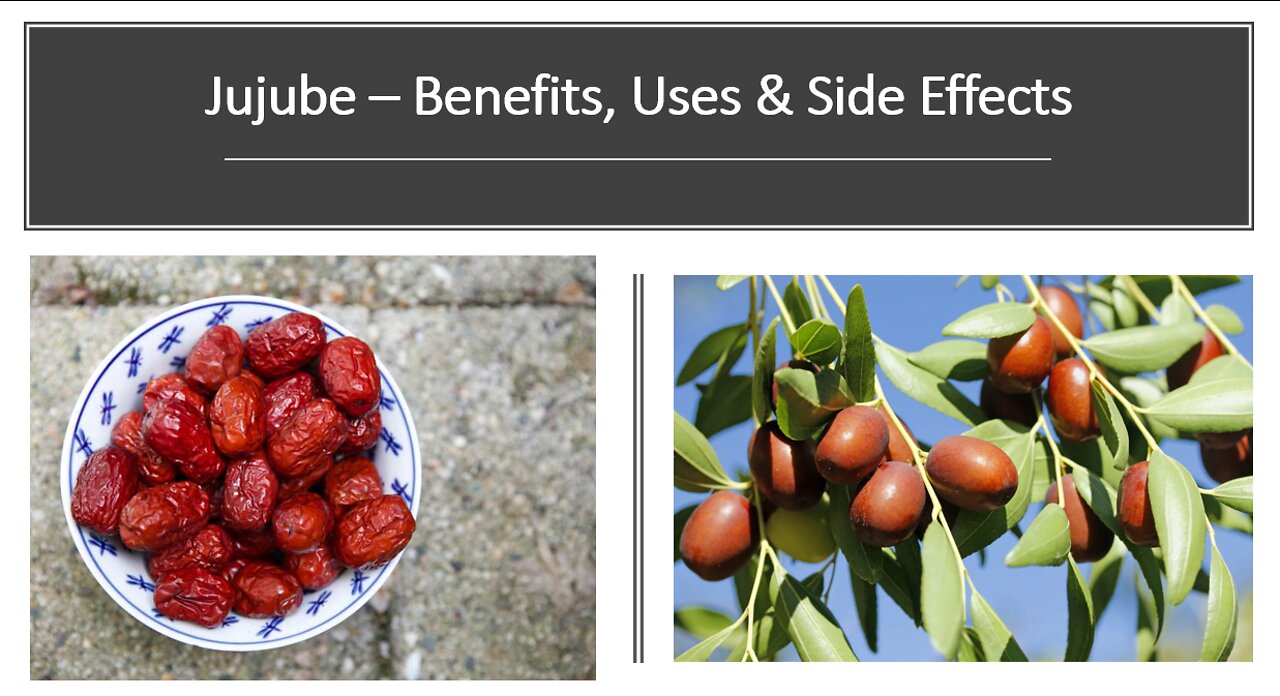 Jujube Benefits, Uses & Side Effects