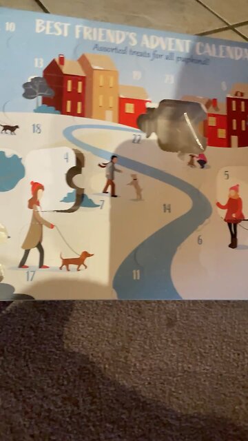 Dog Advent Calendar