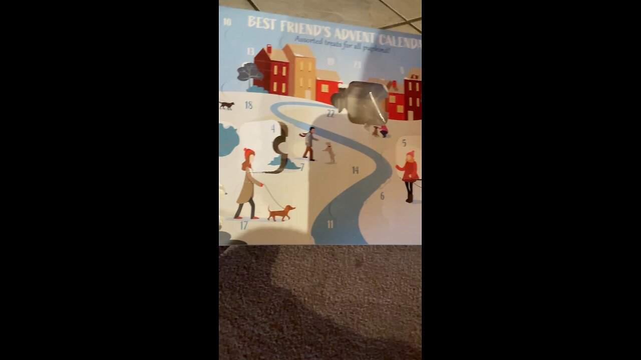 Dog Advent Calendar