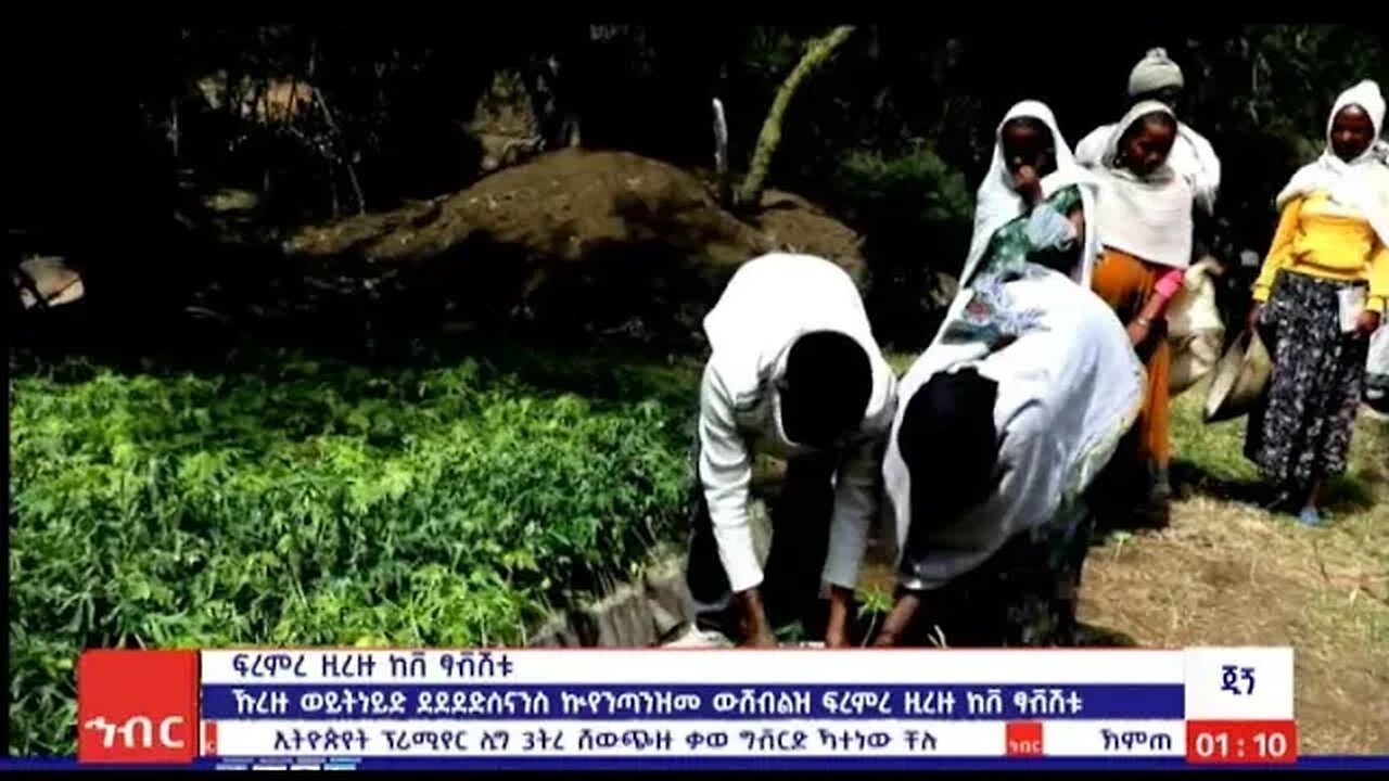 ሳቊጠ ኻትመይል ፍረምረዙ ከቨ