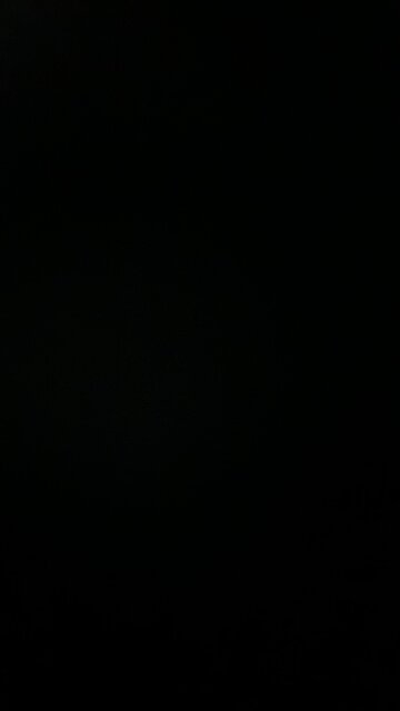 How to pronounce Trump fans