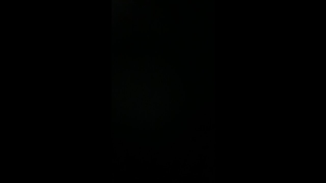 How to pronounce Trump fans