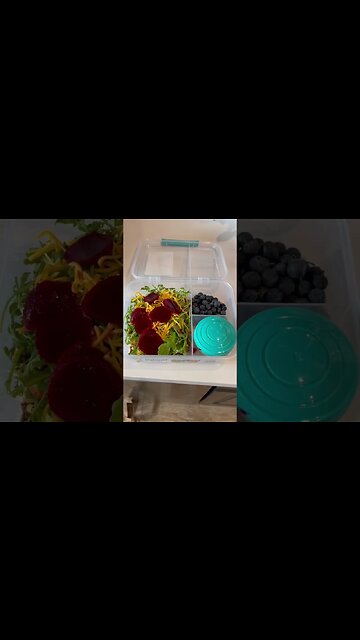 The perfect container for a healthy lunch. #foodshorts