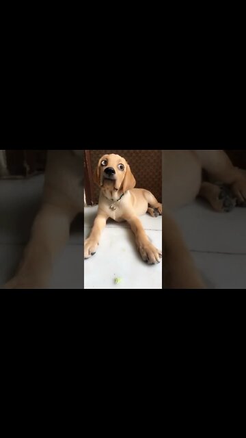 How to SEE Spirits & Ghosts with this technique , #short