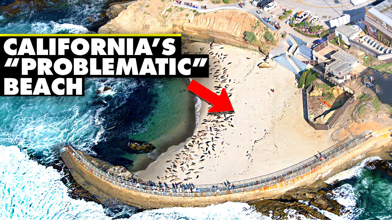 California's Most Controversial Beach Explained | The Children's Pool