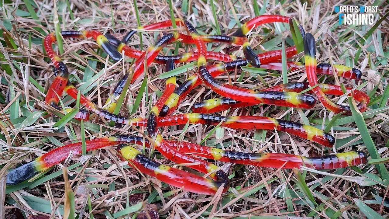 Let's Hand-Pour CORAL SNAKE Worms; Throwback Pattern To 3 Years Ago!