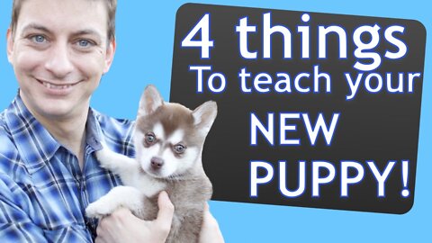 How To Train Your Puppy?