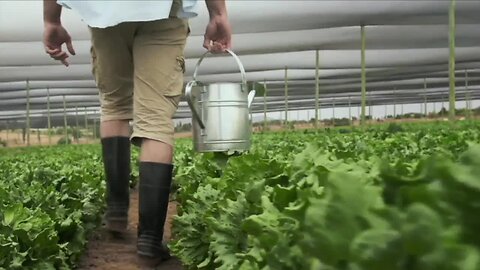 Local couple helps revive local farm business during cold winter