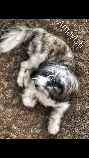 Amayiah and the Wind