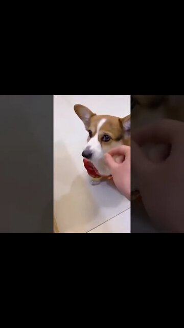 Beim 3 Mal ist Schluss