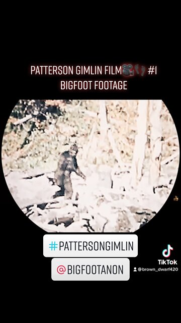 Paterson Gimlan Footage (BD Remix)