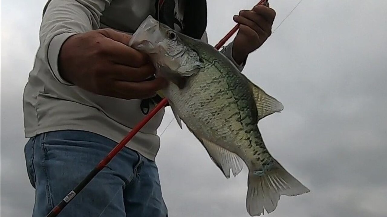 Sammich size crappie.