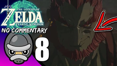 Part 8 // [No Commentary] Zelda: Tears of the Kingdom - Switch Gameplay