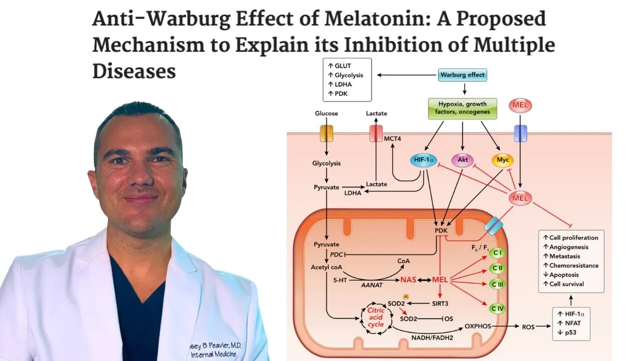 Melatonin KILLS Cancer: REVERSES Warburg Effect & INHIBITS Glucose