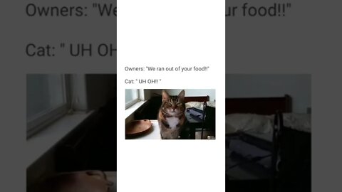 UH OH 😂😂🐈‍⬛🥺 #shorts #shortsvideo #funny #cat #fyp