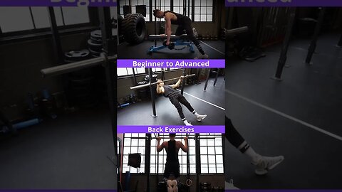 Beginner to Advanced Back Exercises