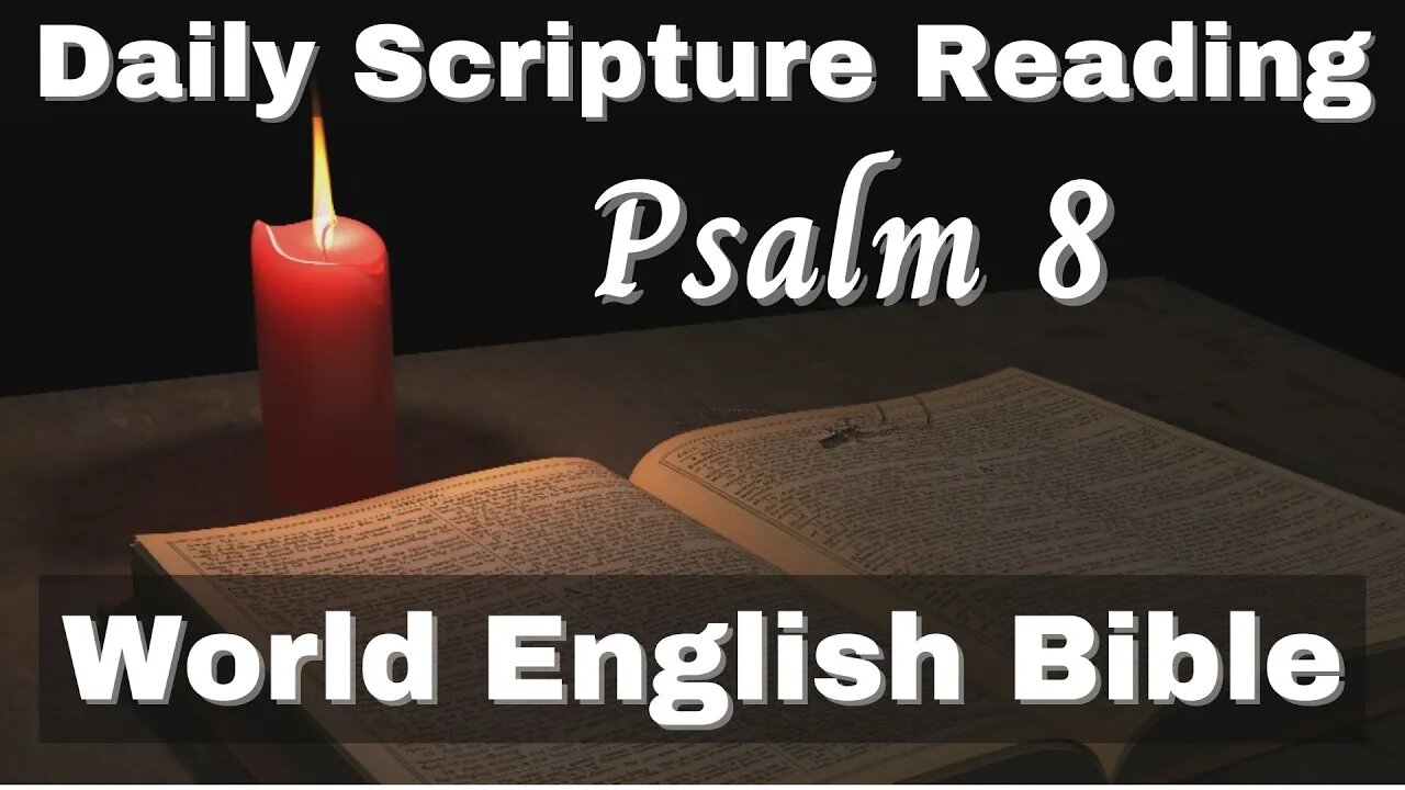 Psalm 8 ✧ Bible Audio ✧ World English Translation ✧ Old Testament Daily Scripture Reading Devotion