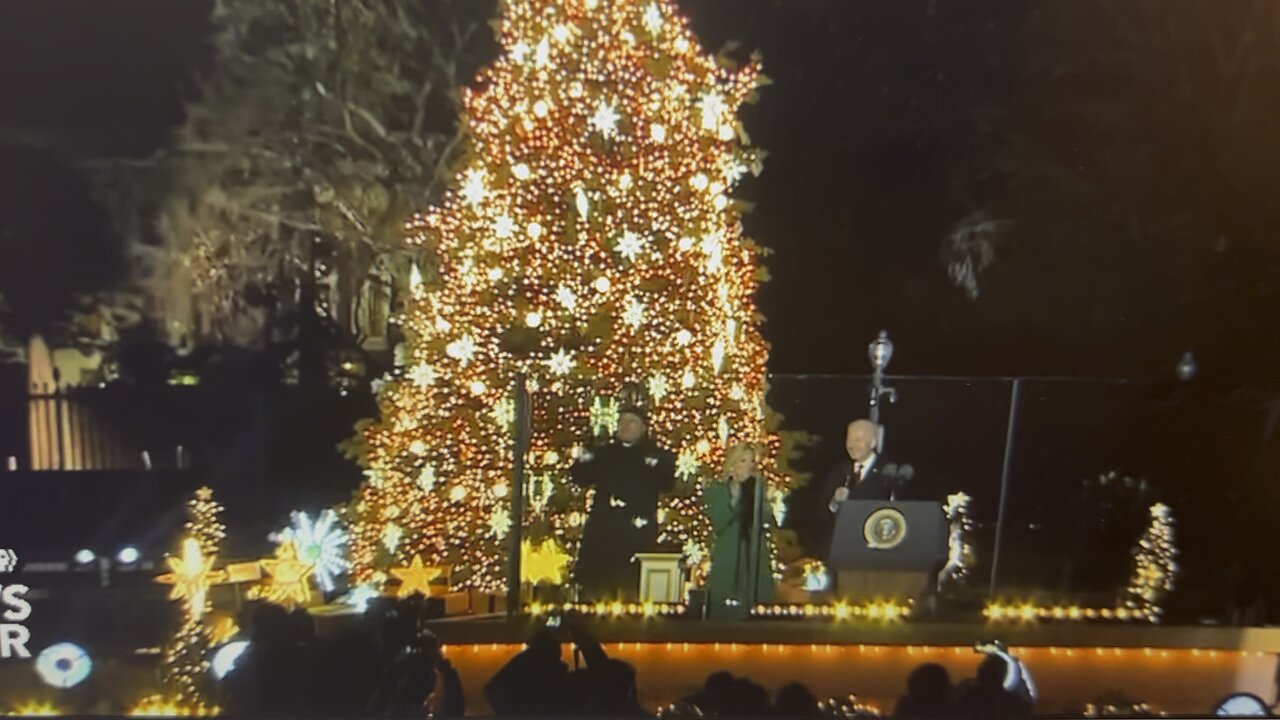 White House Christmas tree fall